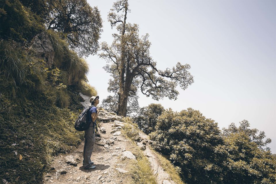 Photo of Mcleodganj Days - A Travelogue by yogesh pilankar