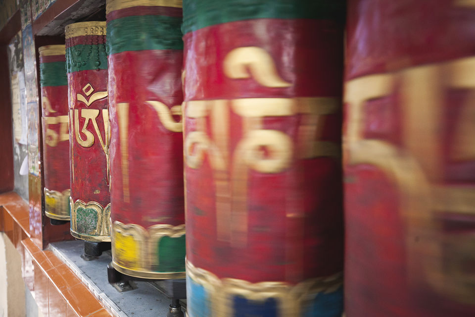 Photo of Mcleodganj Days - A Travelogue by yogesh pilankar