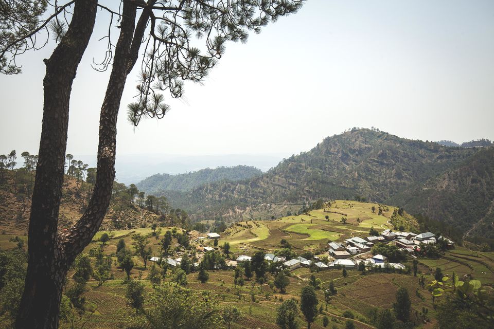 Photo of Mcleodganj Days - A Travelogue by yogesh pilankar
