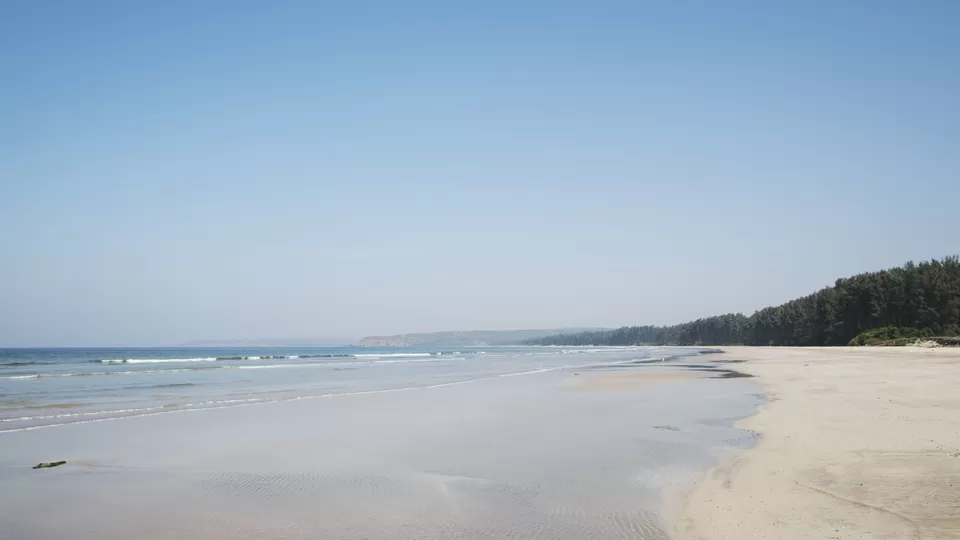 Photo of Konkan beach marine life and fun by yogesh pilankar