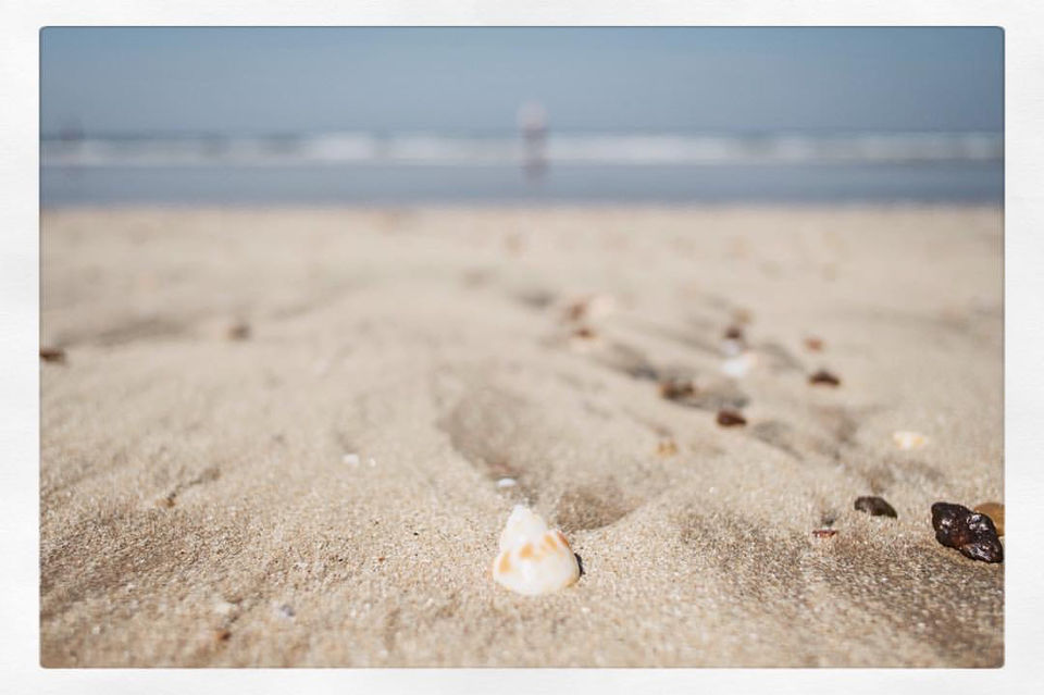 Photo of Konkan beach marine life and fun by yogesh pilankar