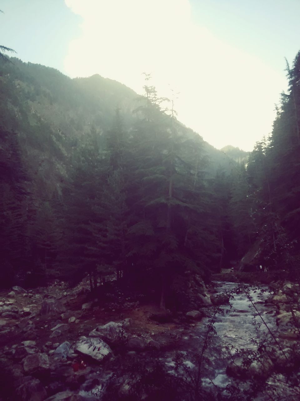 Photo of (5 places 10 days) -KASOL-MANIKARAN-TOSH-KHEERGANGA-MANALA 16/45 by Manmeet Kaur