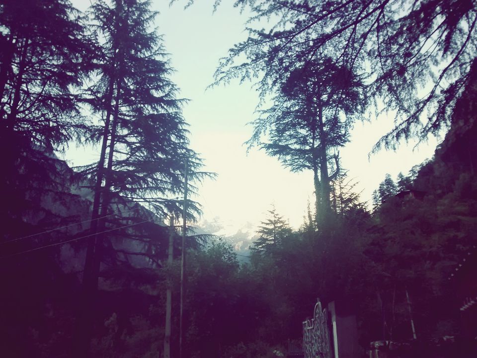 Photo of (5 places 10 days) -KASOL-MANIKARAN-TOSH-KHEERGANGA-MANALA 17/45 by Manmeet Kaur