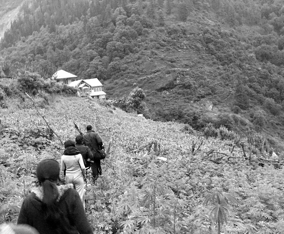 Photo of (5 places 10 days) -KASOL-MANIKARAN-TOSH-KHEERGANGA-MANALA 35/45 by Manmeet Kaur