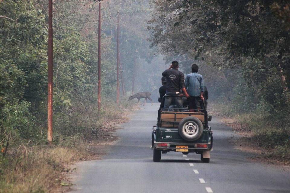 Photo of Jim Corbett National Park, Ramnagar, Uttarakhand, India by Manmeet Kaur