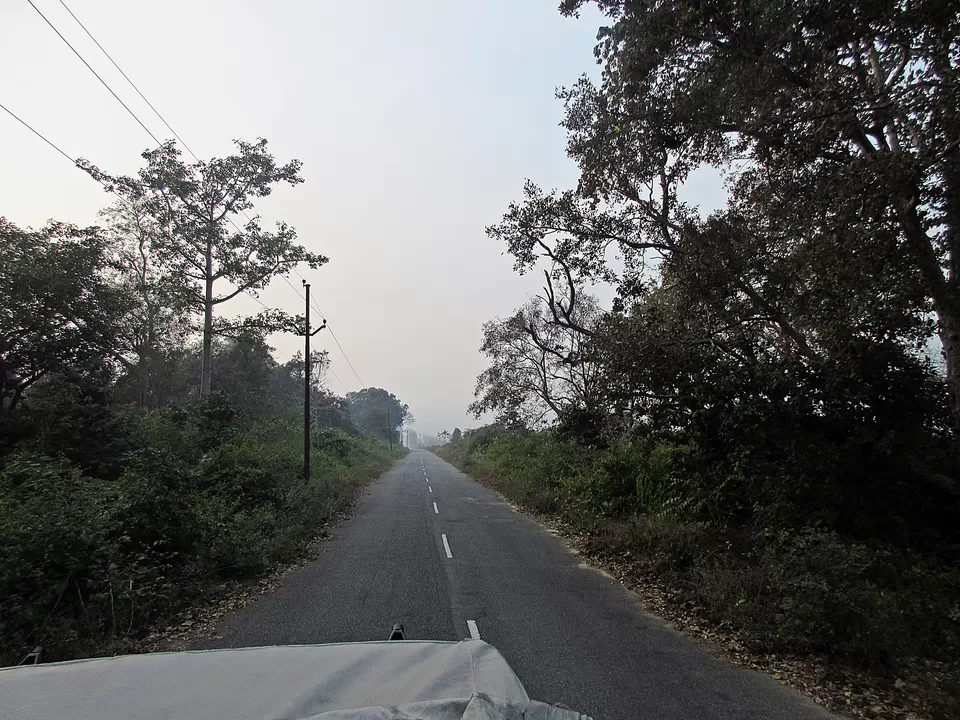 Photo of Jim Corbett National Park, Ramnagar, Uttarakhand, India by Manmeet Kaur