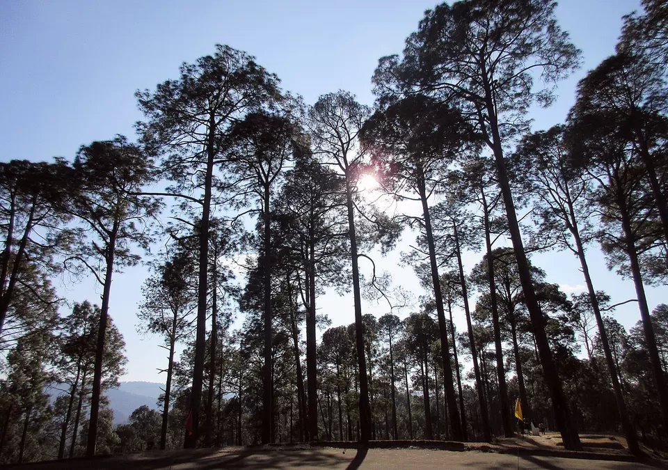 Photo of Golf Ground Ranikhet, Khari Bazar, Ranikhet, Uttarakhand, India by Manmeet Kaur