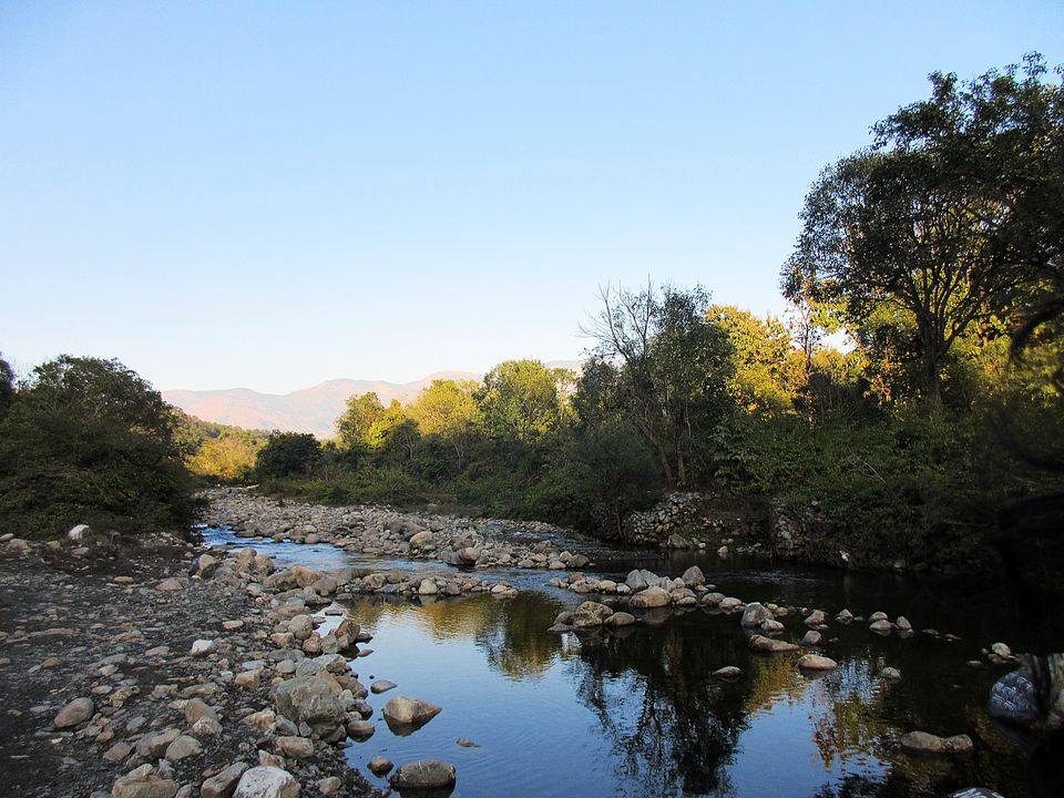 Photo of Jim Corbett National Park, Ramnagar, Uttarakhand, India by Manmeet Kaur