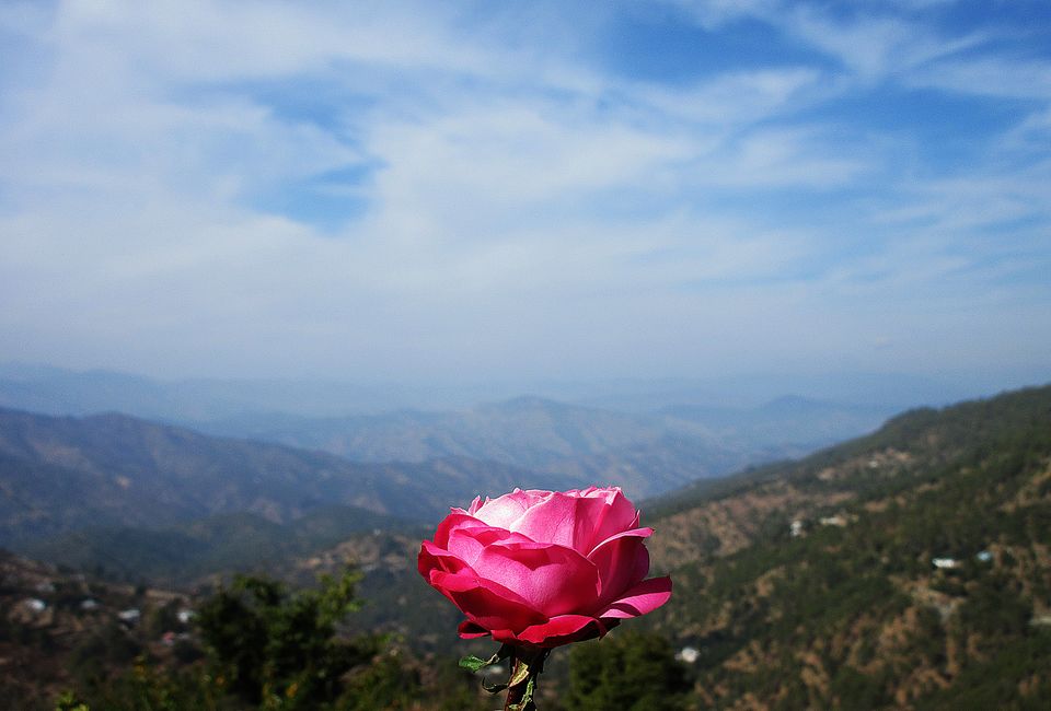 Photo of Ranikhet, Uttarakhand, India by Manmeet Kaur