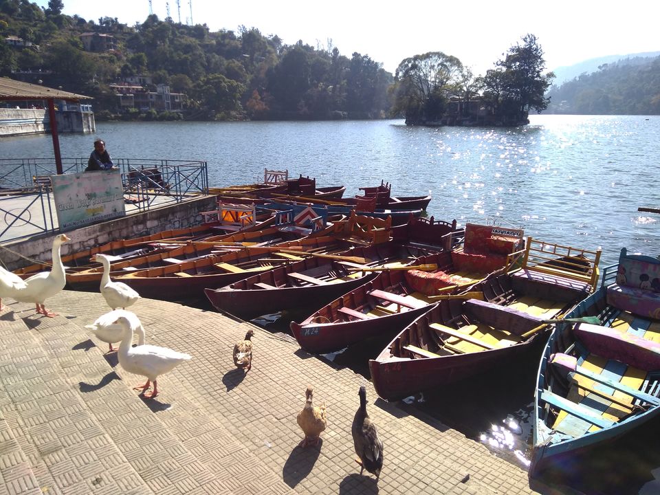 Photo of Bhimtal Lake, Bhimtal, Uttarakhand, India by Manmeet Kaur