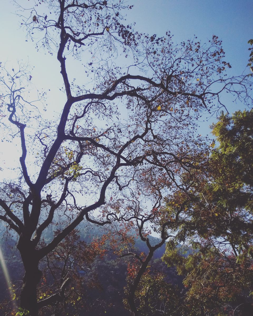 Photo of Bhimtal, Uttarakhand, India by Manmeet Kaur