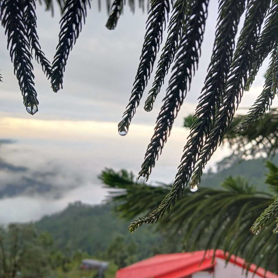 Photo of Lansdowne, Uttarakhand, India by Ekta Vasundhra