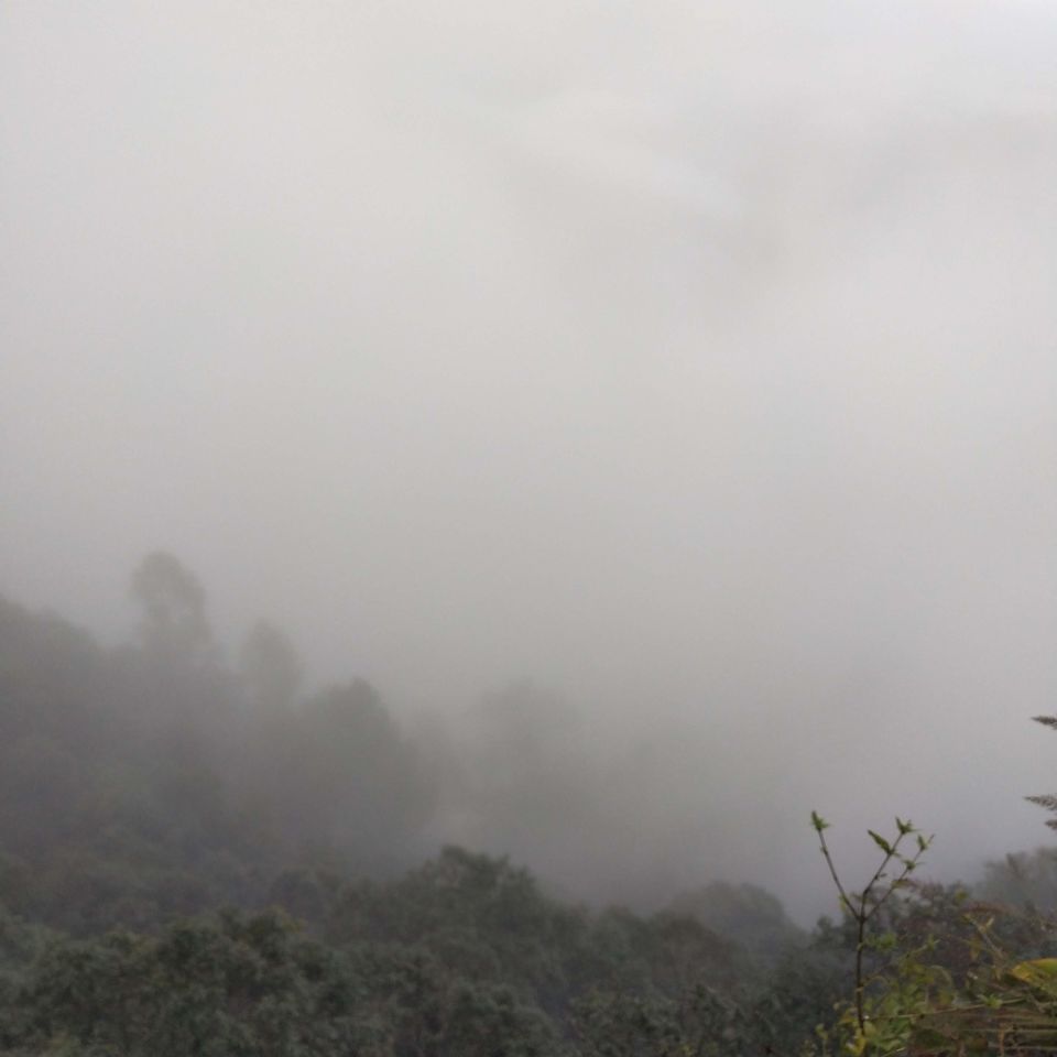 Photo of Lansdowne - Serenity and Bliss by Ekta Vasundhra