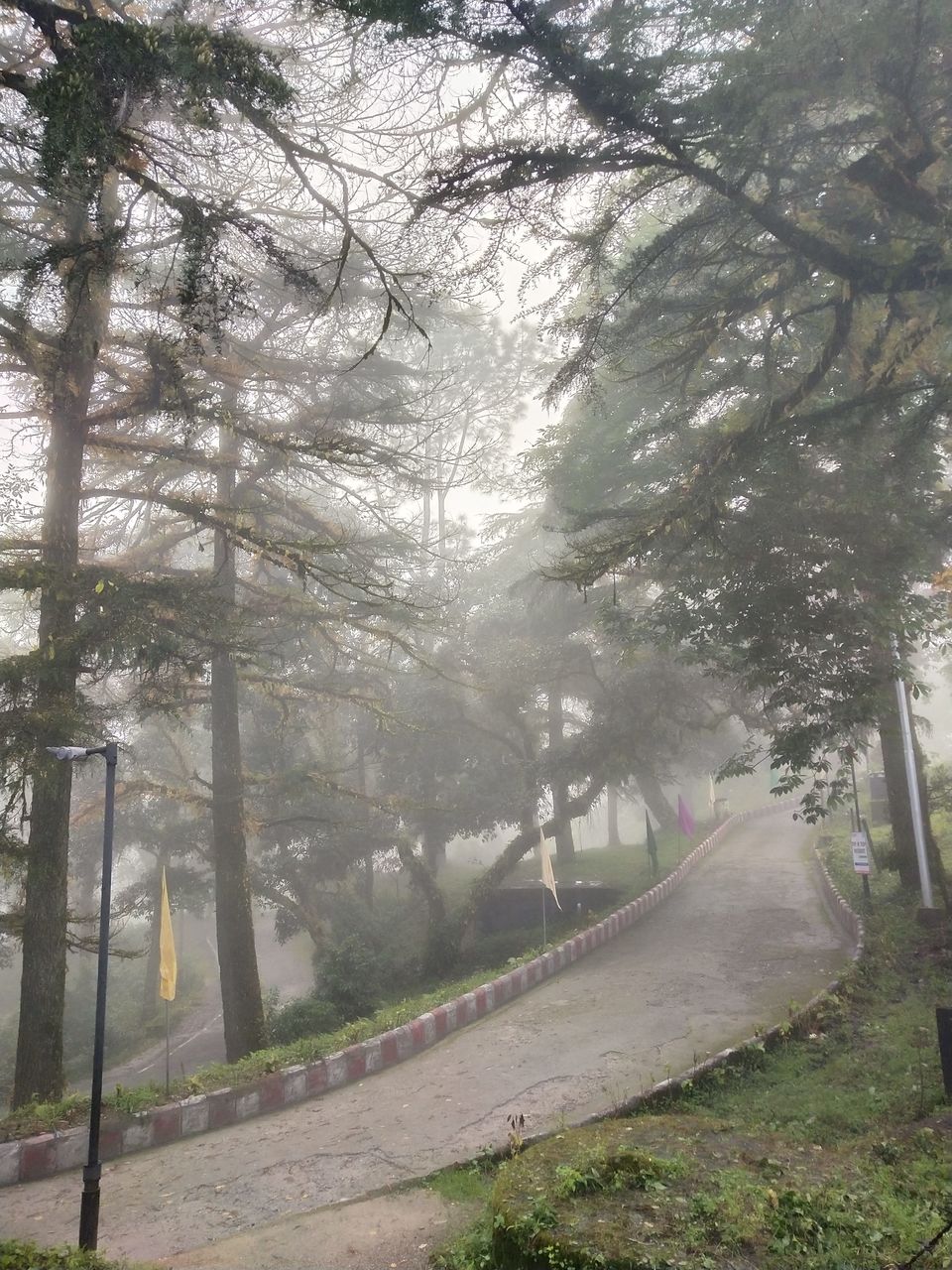 Photo of Lansdowne - Serenity and Bliss by Ekta Vasundhra