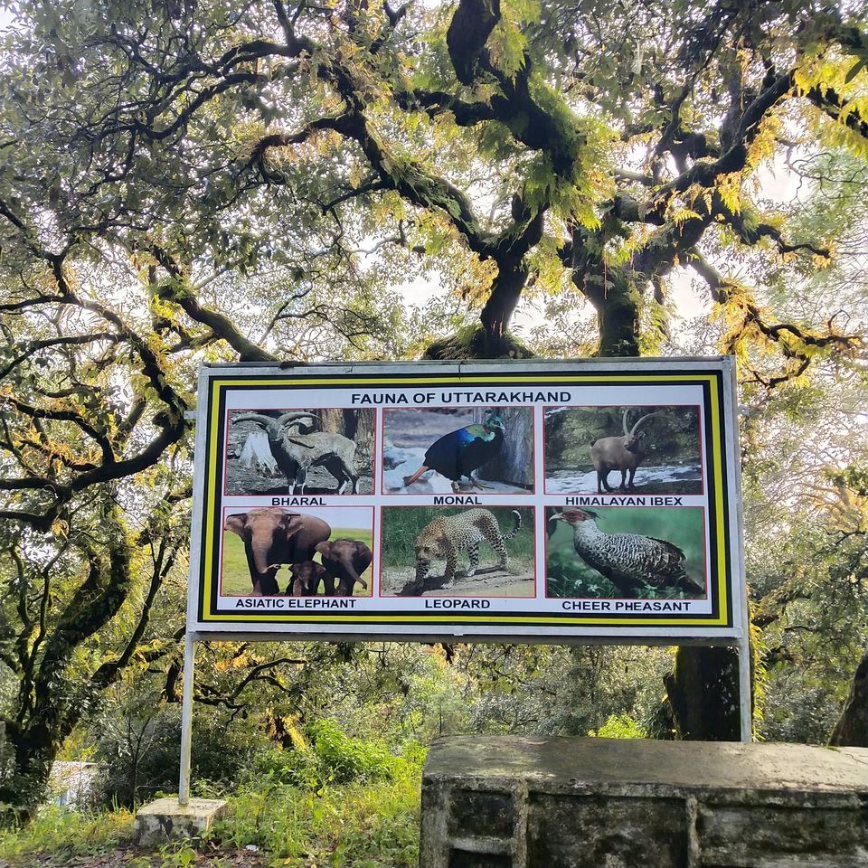 Photo of Lansdowne - Serenity and Bliss by Ekta Vasundhra