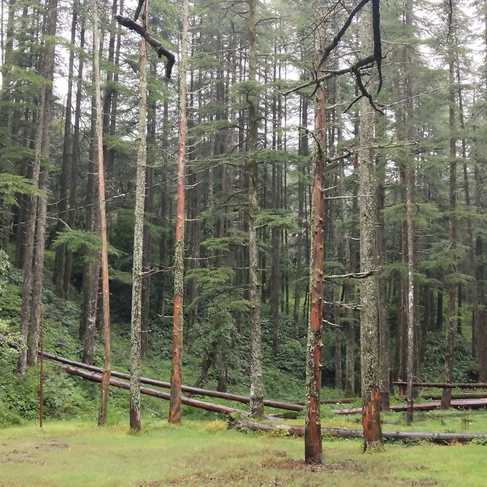 Photo of Lansdowne - Serenity and Bliss by Ekta Vasundhra