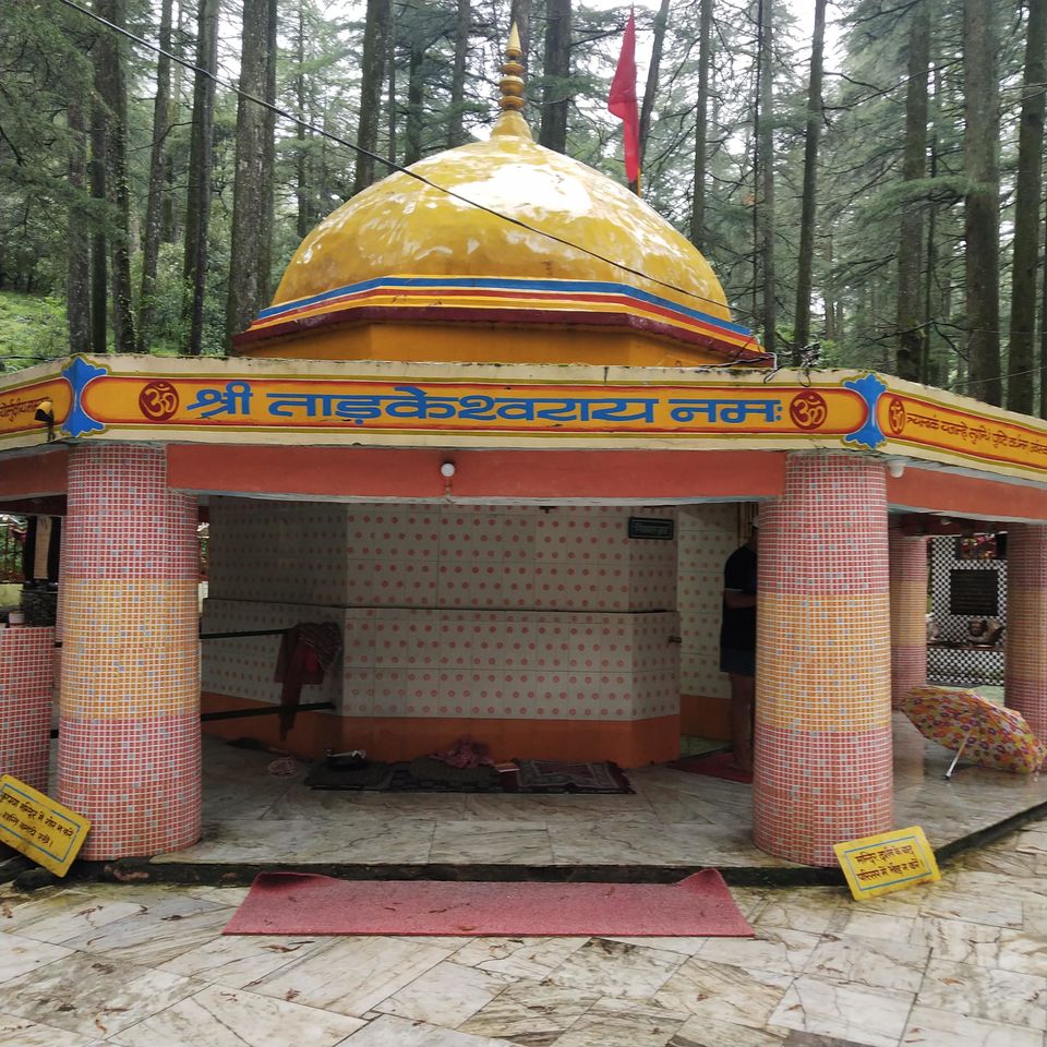 Photo of Lansdowne - Serenity and Bliss by Ekta Vasundhra