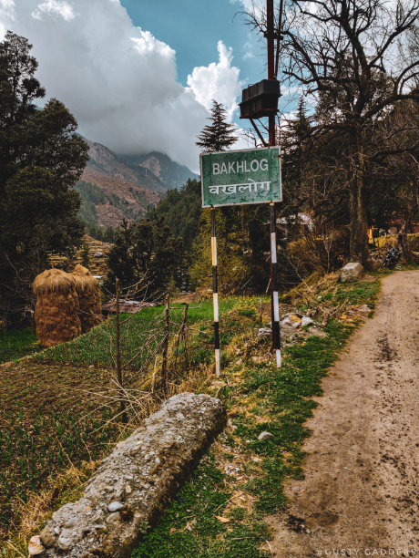 Photo of Bakhlog, Himachal Pradesh, India by Sanvi Sinha