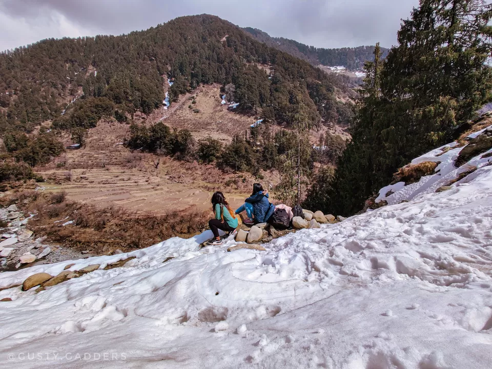 Photo of Rajgundha - Feel the Nature, rajgundha, Baijnath, Himachal Pradesh, India by Sanvi Sinha