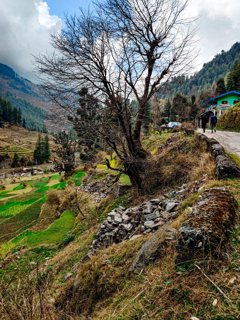 Photo of Barot Valley, Distt Mandi, Himachal Pradesh, India by Sanvi Sinha