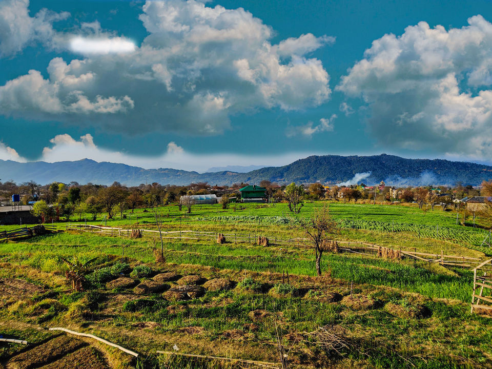 Photo of Bir Zostel 2.0, Not a luxury but an Utopia of Awesomeness in Budget! by Sanvi Sinha