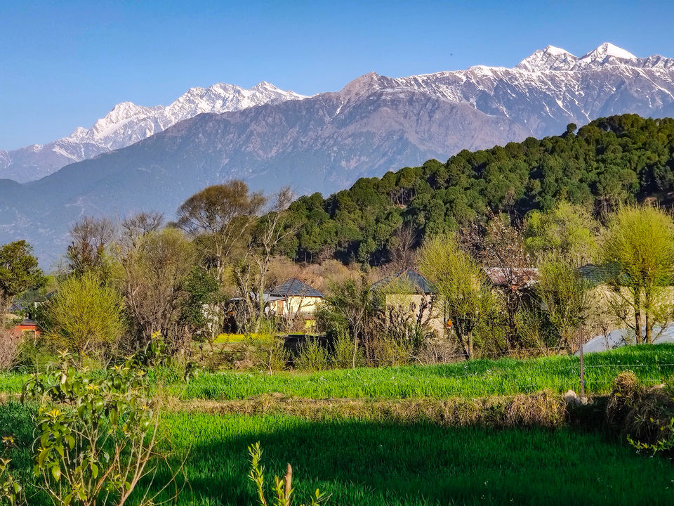 Photo of Bir Zostel 2.0, Not a luxury but an Utopia of Awesomeness in Budget! by Sanvi Sinha