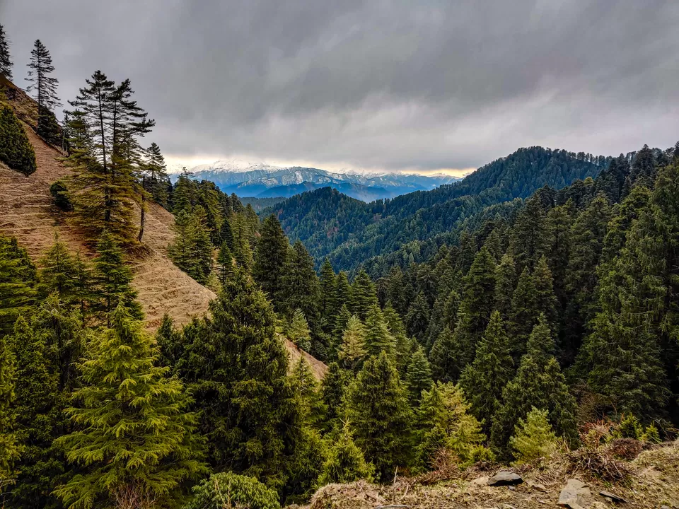 Photo of Mandi, Himachal Pradesh, India by Sanvi Sinha