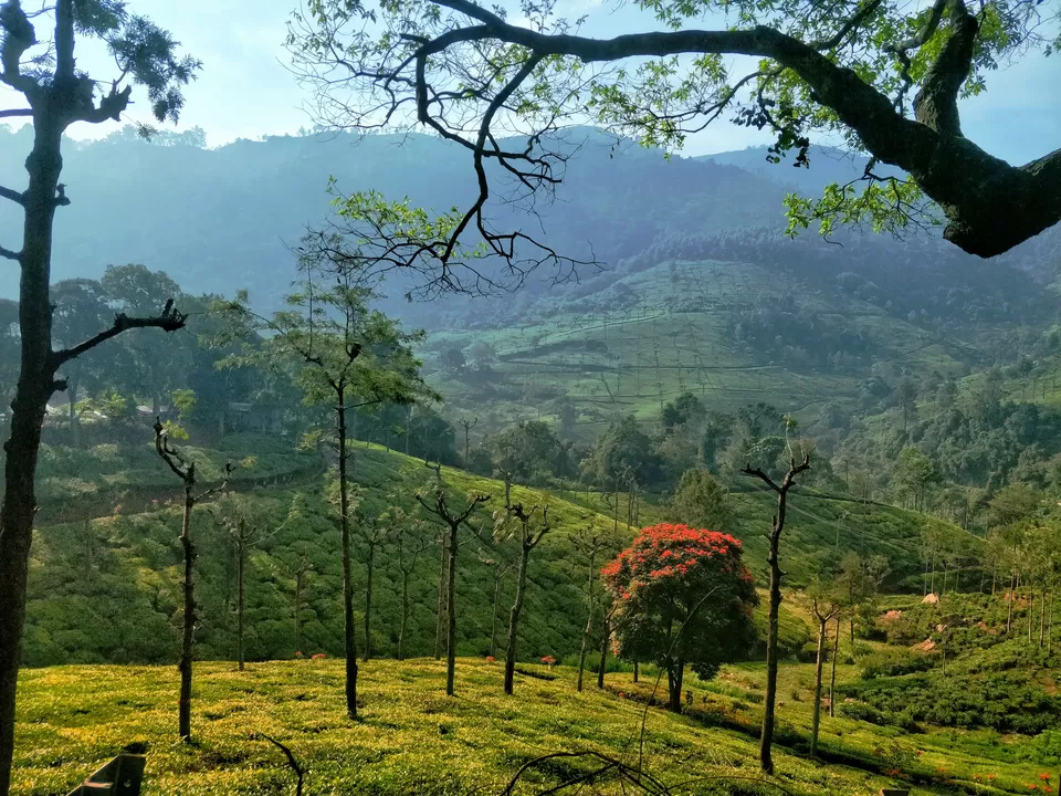 Photo of Ooty, Tamil Nadu, India by Sanvi Sinha