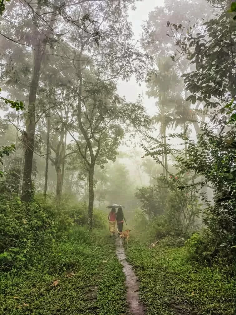Photo of Ilaveezhapoonchira by Nizam p a