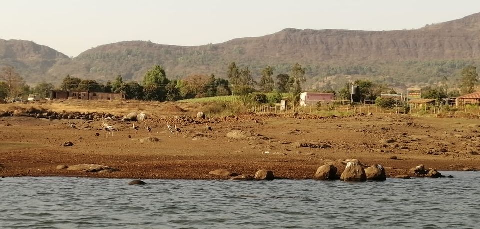 Photo of Mulshi, Maharashtra, India by Simi_Travelrecipe