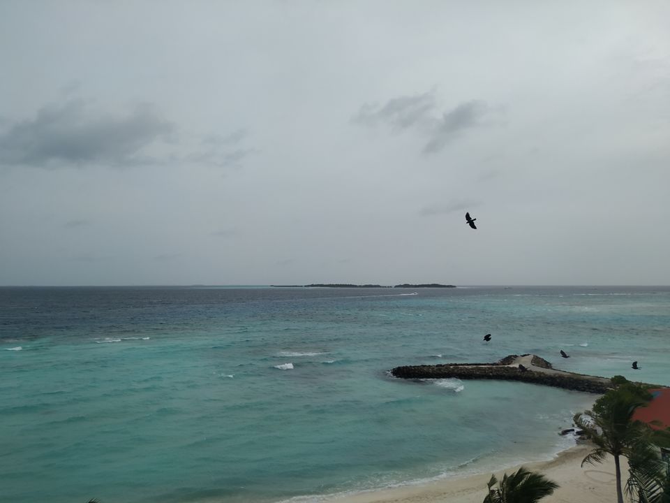 Photo of Arena Beach Hotel, Ziyaaraiy Magu Road, Maafushi, Maldives by Simi_Travelrecipe