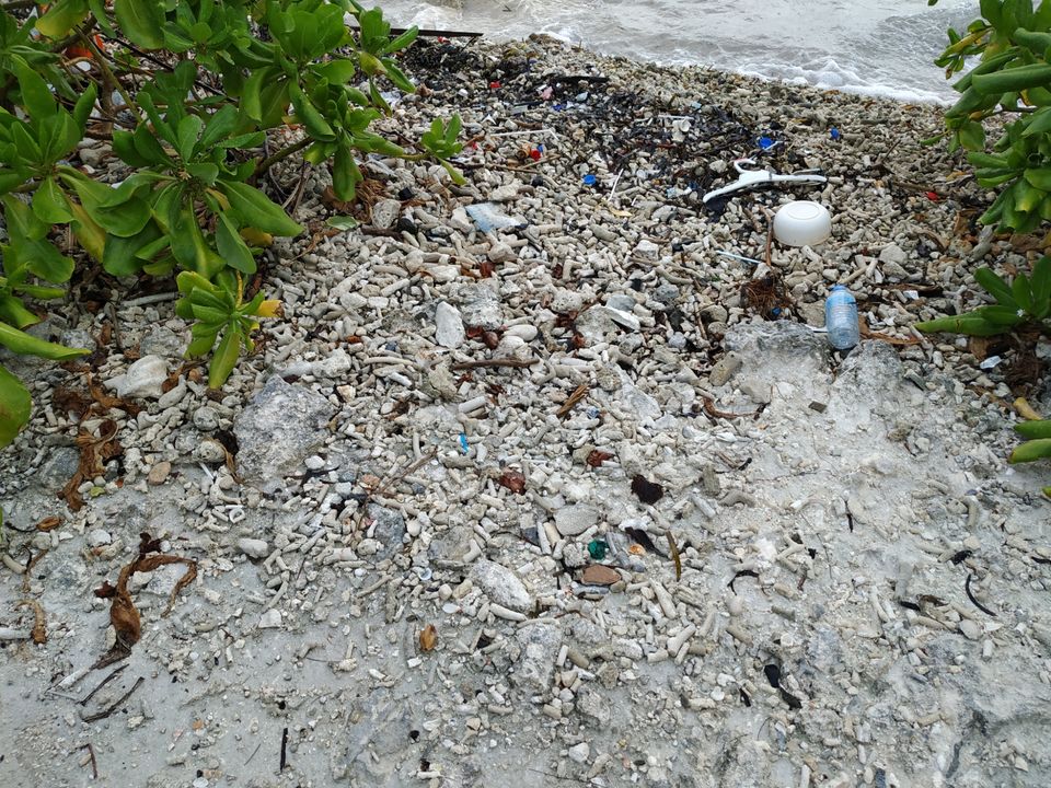 Photo of Maafushi, Maldives by Simi_Travelrecipe