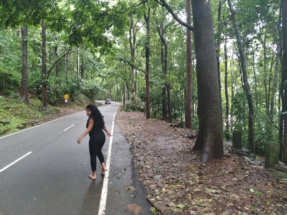 Photo of Athirapally Waterfalls, Pariyaram, Kerala by Simi_lifetravelravelrecipe