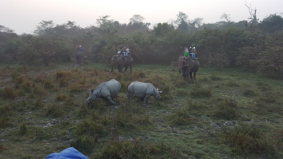 Photo of Kaziranga National Park, Kanchanjuri, Assam, India by Simi_Travelrecipe