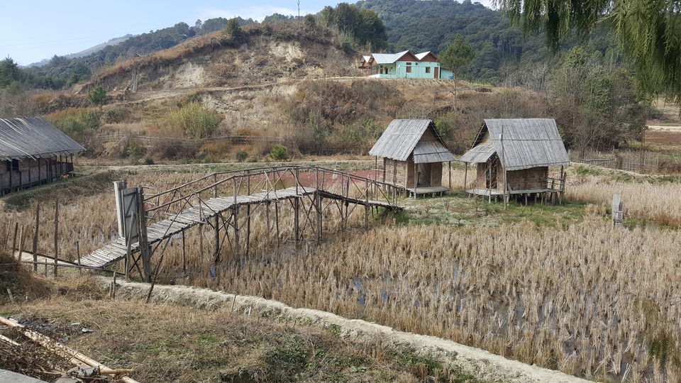 Photo of Ziro by Simi_Travelrecipe