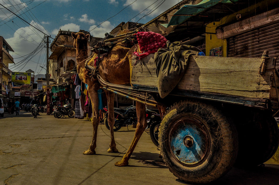 Photo of People and Stories: Backpacking Rajasthan Part 1 5/16 by Vinayak Harshvardhan