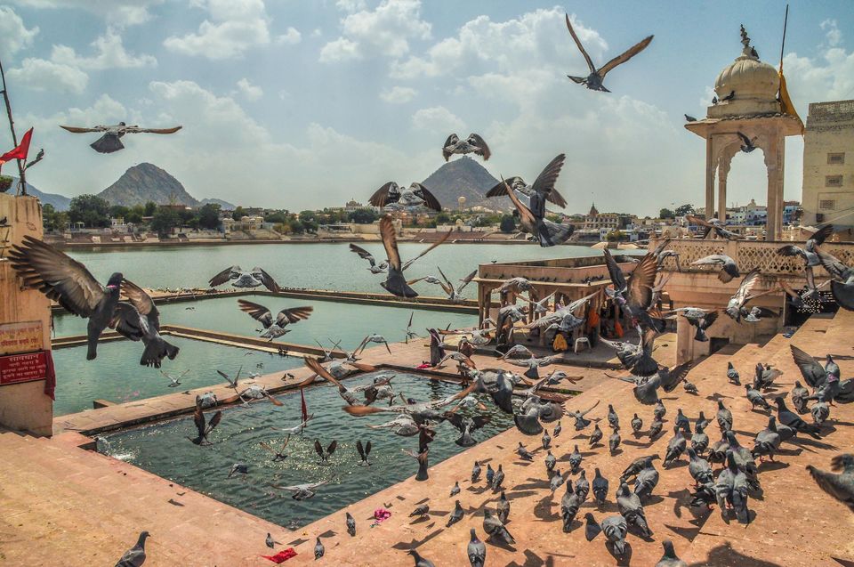 Photo of People and Stories: Backpacking Rajasthan Part 1 10/16 by Vinayak Harshvardhan