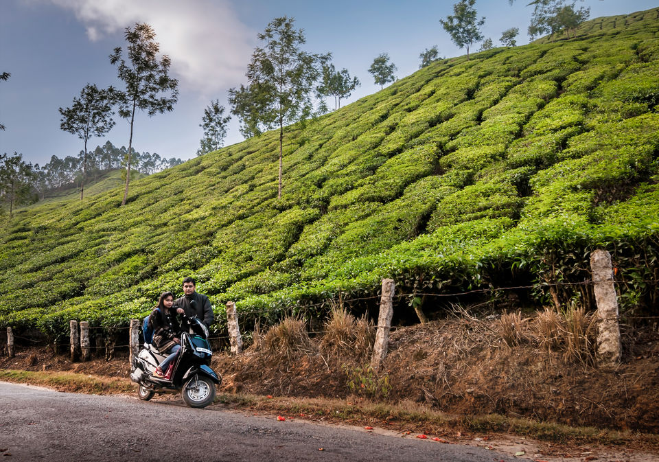 Photo of Munnar, Kerala, India by Adhiraj