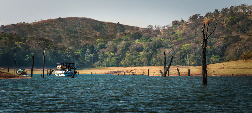 Photo of Thekkady, Kerala, India by Adhiraj