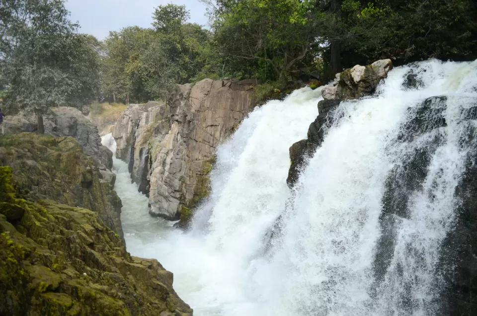 Photo of Hogenakkal Waterfalls, Chamarajanagar, Karnataka, India by Uday Shankar S
