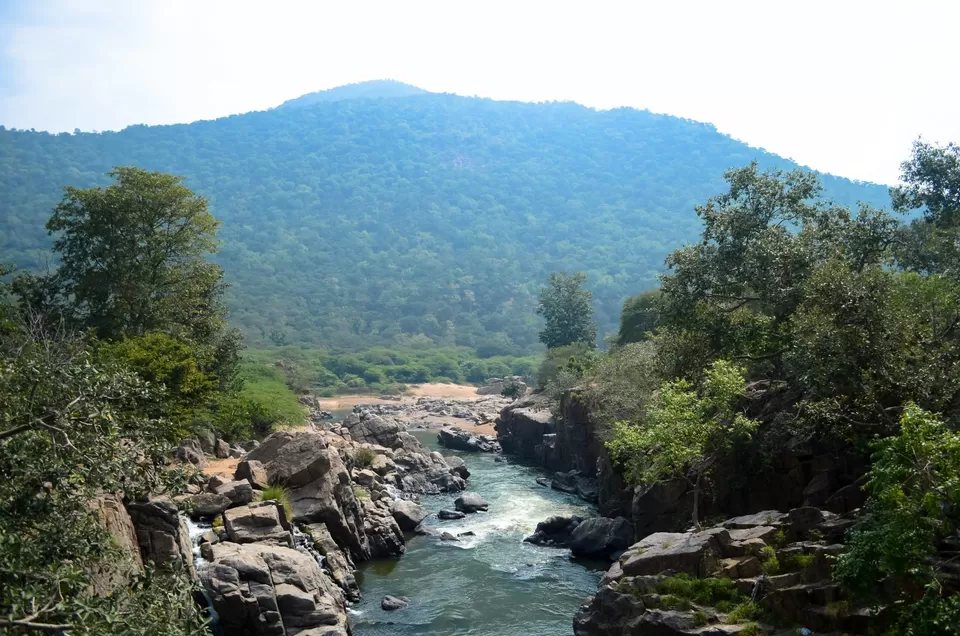Photo of Hogenakkal Waterfalls, Chamarajanagar, Karnataka, India by Uday Shankar S