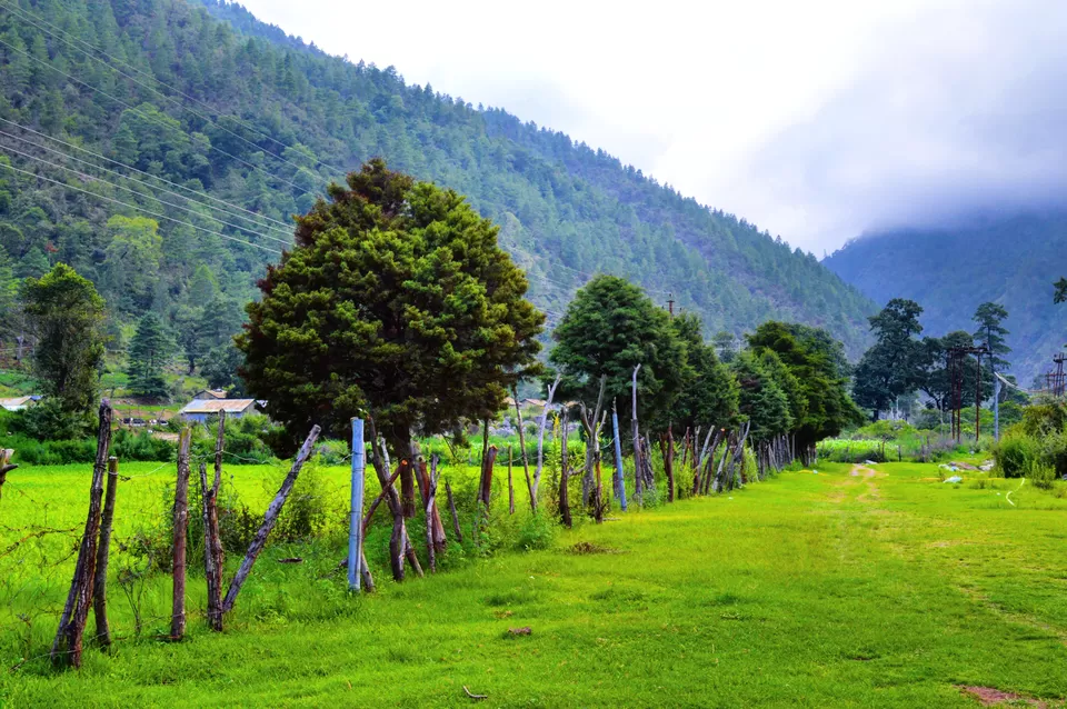 Photo of Tenga Valley by ferhan hazarika