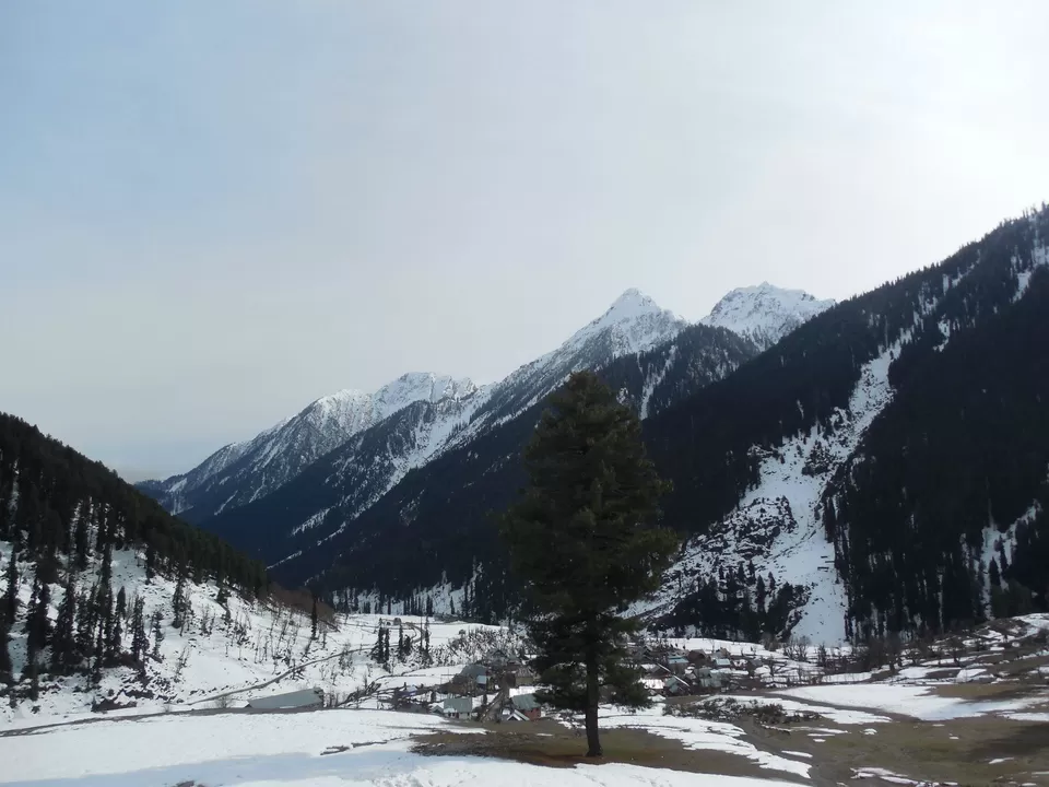 Photo of Aru by Sunil Khurana