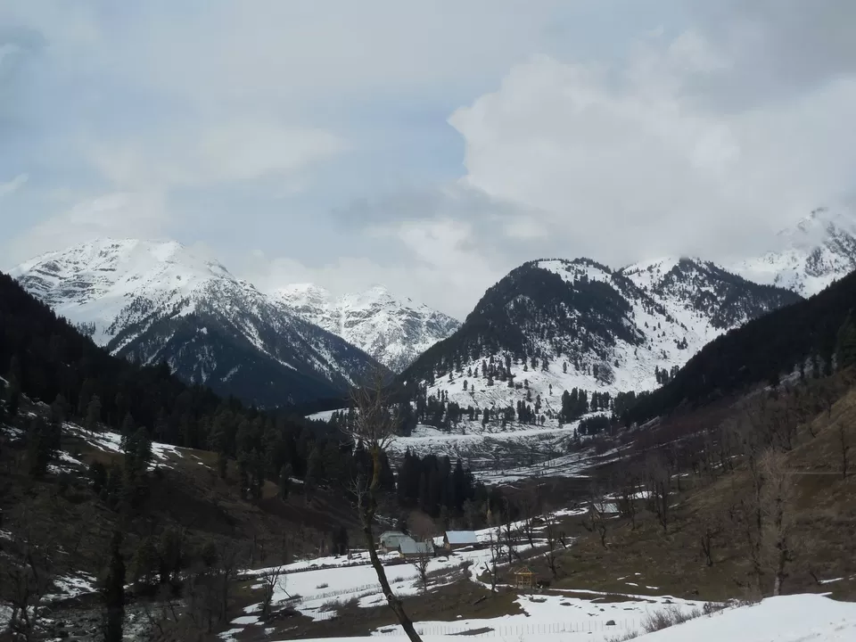 Photo of Aru by Sunil Khurana