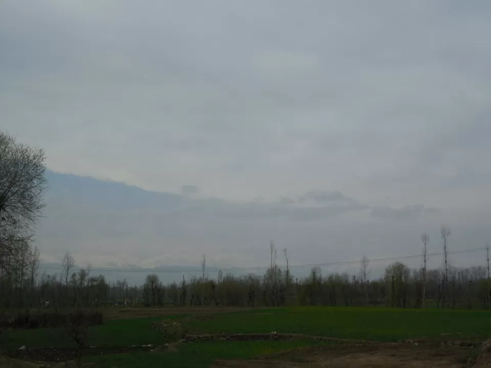 Photo of Sallar Pehalgam by Sunil Khurana