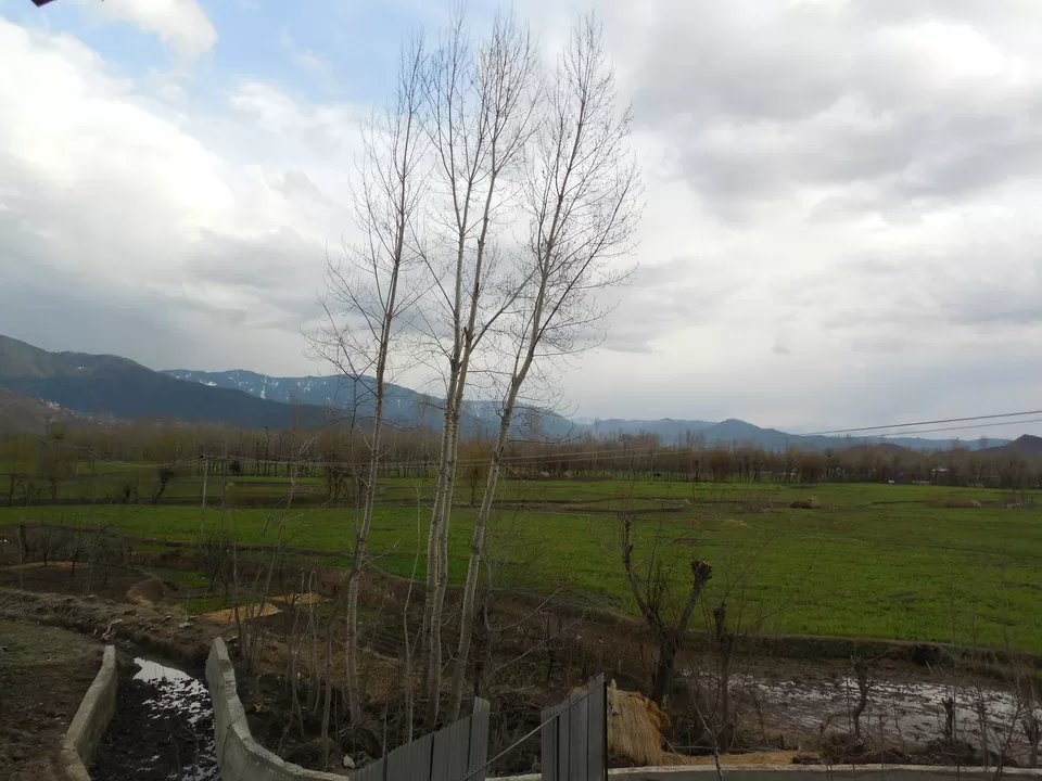 Photo of Sallar, Pahalgam by Sunil Khurana