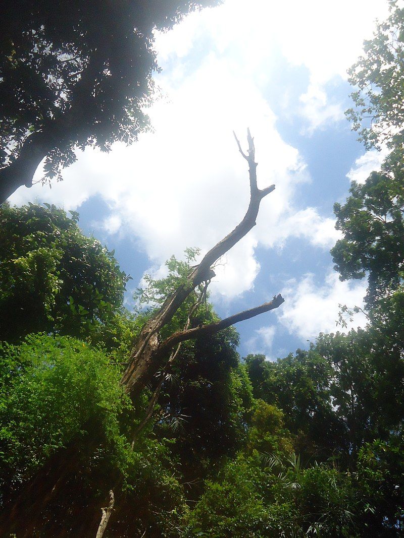 Photo of The Most Romantic Places in Kandy – Honeymoon in the Hills 5/5 by Ayodha Iruni Wijesinghe