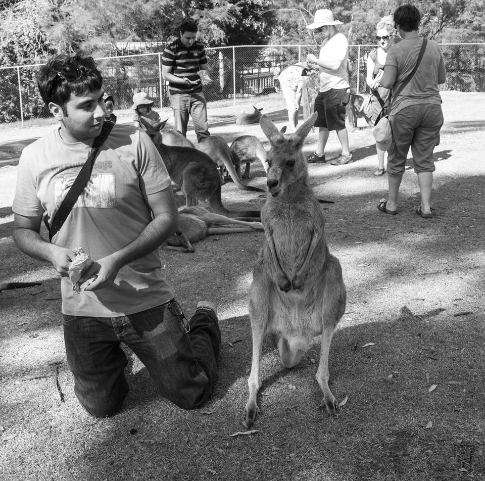 Photo of Australia - My adventure in the the land down under 30/33 by Tushar Mahajan