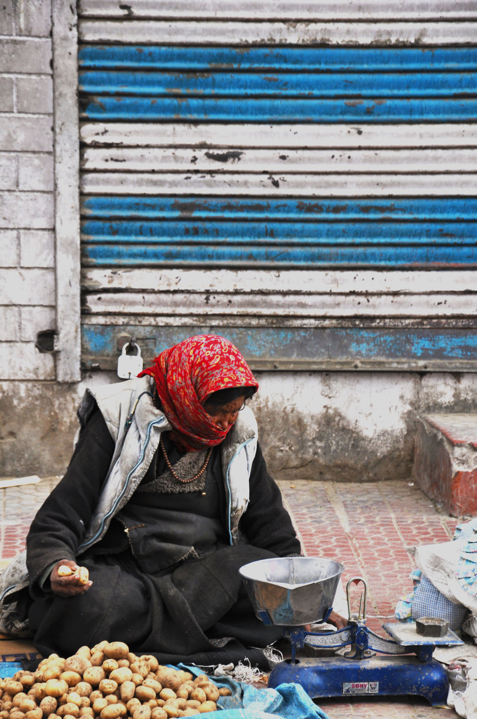 Photo of My escapades in Ladakh 19/46 by Tushar Mahajan