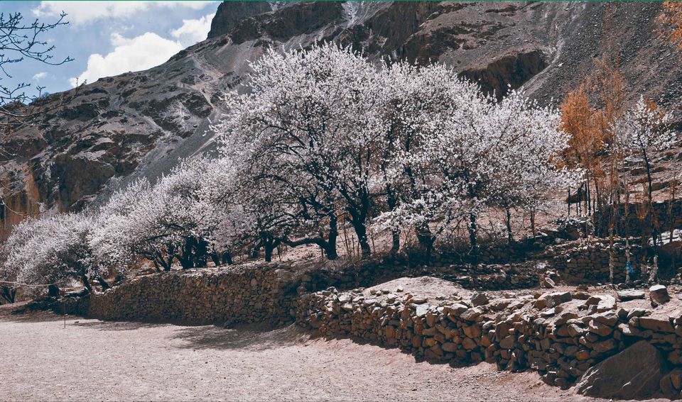 Photo of My escapades in Ladakh 33/46 by Tushar Mahajan